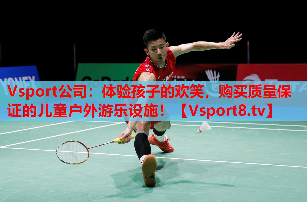 Vsport公司：體驗(yàn)孩子的歡笑，購買質(zhì)量保證的兒童戶外游樂設(shè)施！