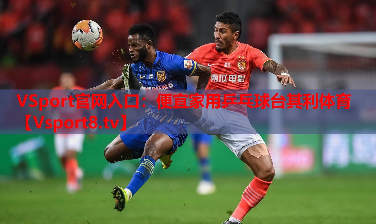 VSport官網(wǎng)入口：便宜家用乒乓球臺(tái)其利體育