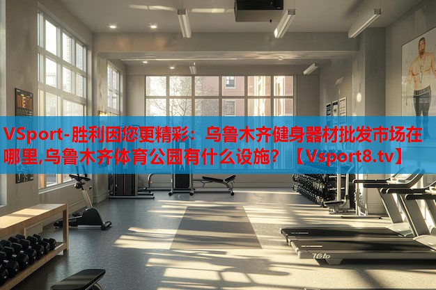 VSport-勝利因您更精彩：烏魯木齊健身器材批發(fā)市場(chǎng)在哪里,烏魯木齊體育公園有什么設(shè)施？