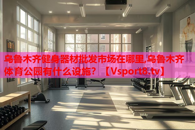 烏魯木齊健身器材批發(fā)市場在哪里,烏魯木齊體育公園有什么設施？
