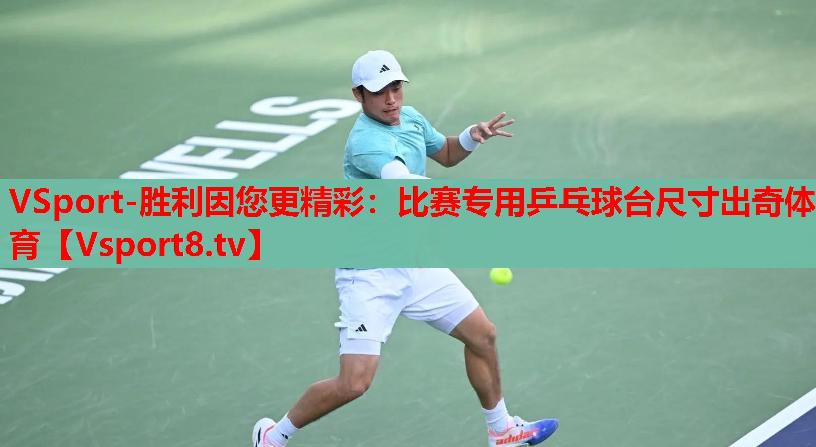 VSport-勝利因您更精彩：比賽專(zhuān)用乒乓球臺(tái)尺寸出奇體育