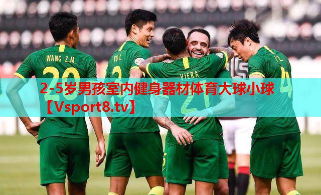 2-5歲男孩室內(nèi)健身器材體育大球小球